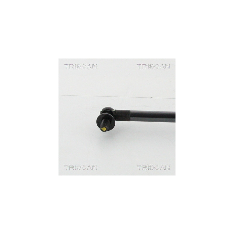 Vérin de coffre / hayon TRISCAN