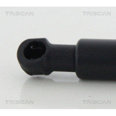 Vérin de coffre / hayon TRISCAN