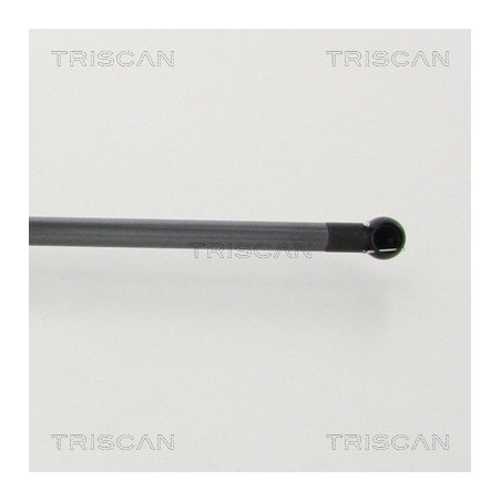 Vérin de coffre / hayon TRISCAN