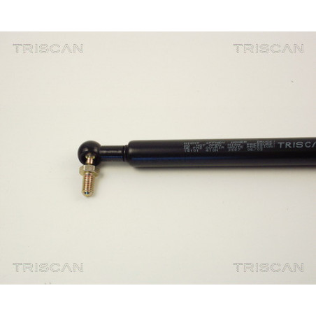 Vérin de capot TRISCAN