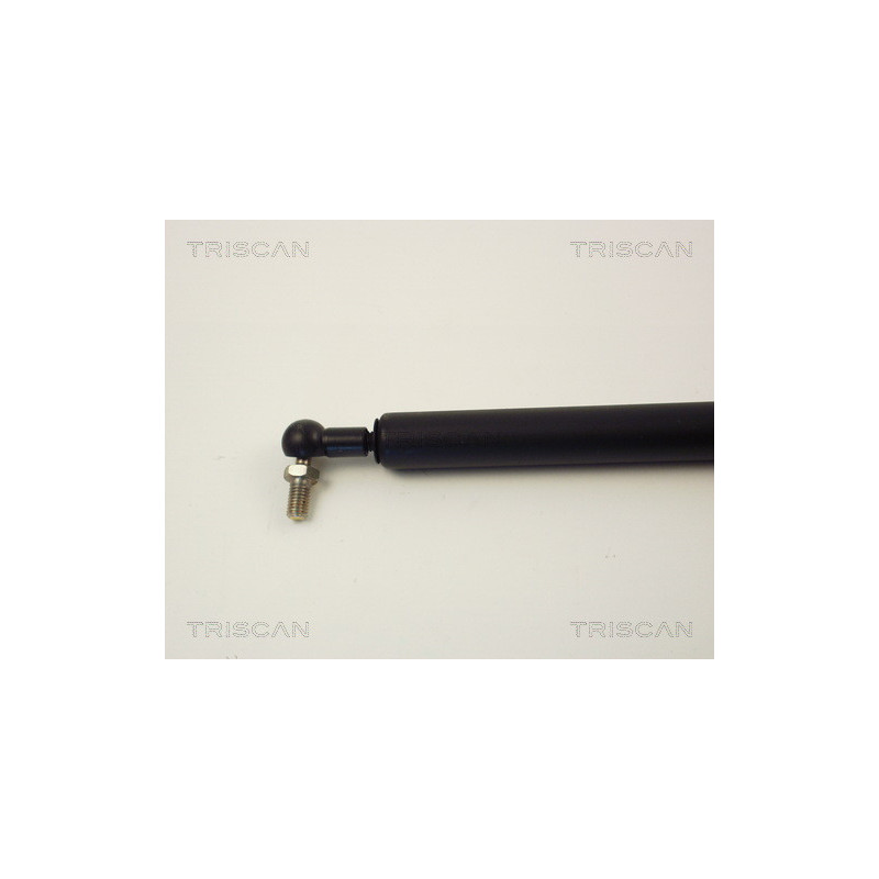 Vérin de coffre / hayon TRISCAN