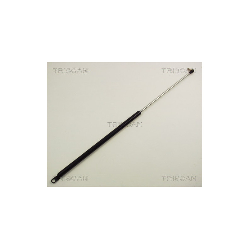 Vérin de coffre / hayon TRISCAN