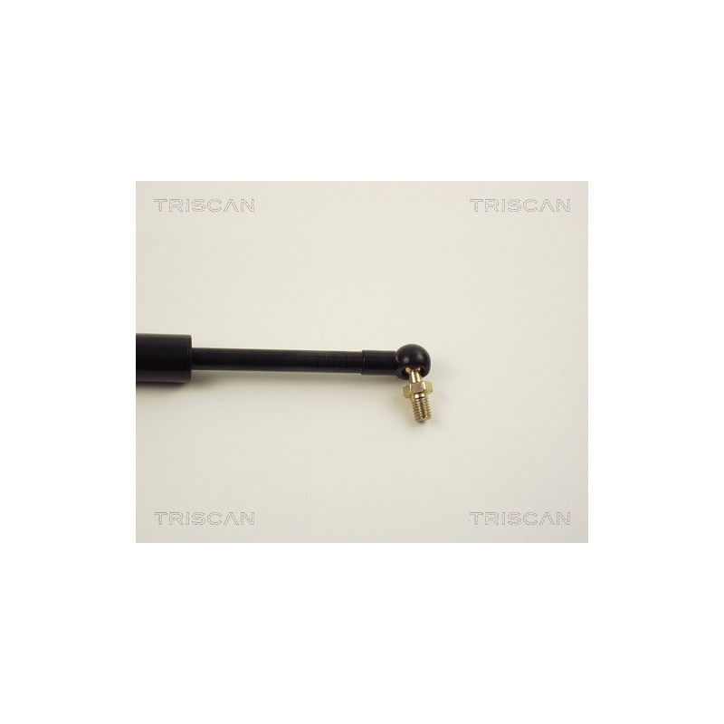 Vérin de coffre / hayon TRISCAN