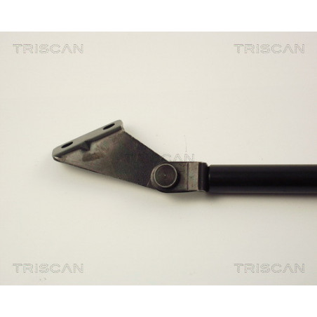 Vérin de coffre / hayon TRISCAN