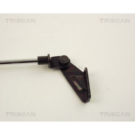 Vérin de coffre / hayon TRISCAN