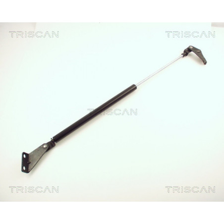 Vérin de coffre / hayon TRISCAN