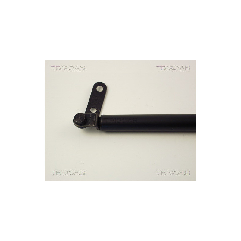 Vérin de coffre / hayon TRISCAN