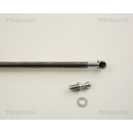 Vérin de coffre / hayon TRISCAN