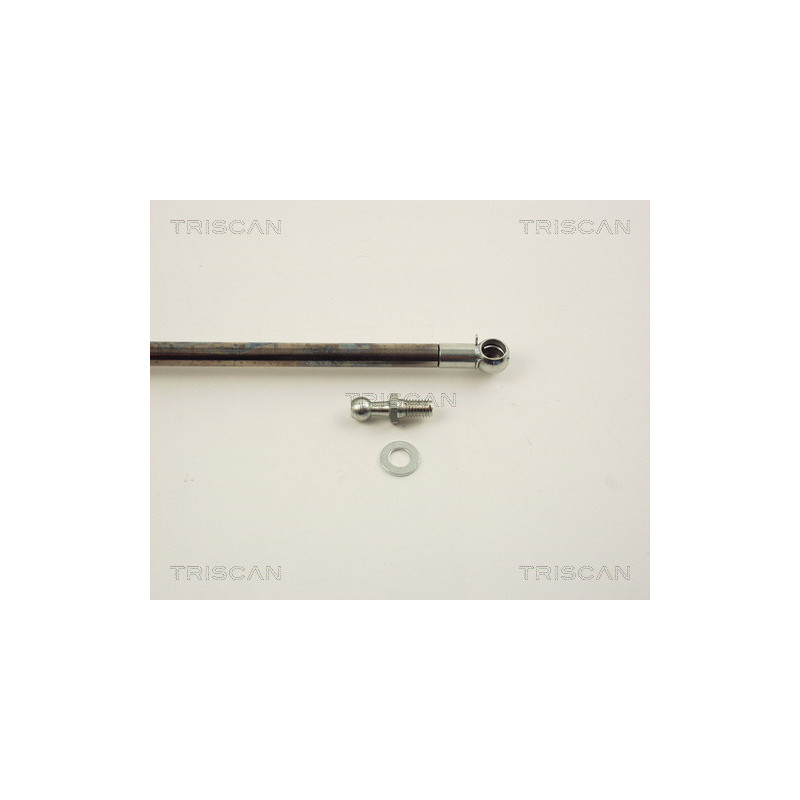 Vérin de coffre / hayon TRISCAN