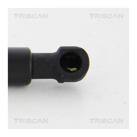 Vérin de coffre / hayon TRISCAN