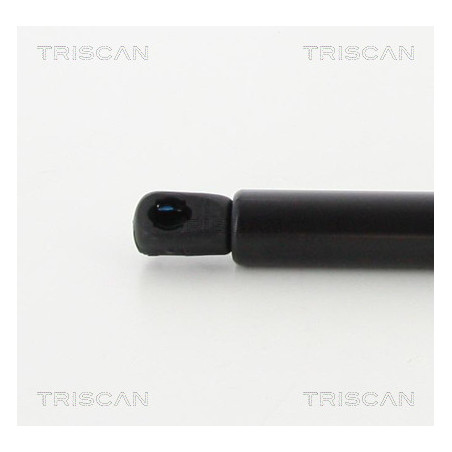 Vérin de coffre / hayon TRISCAN