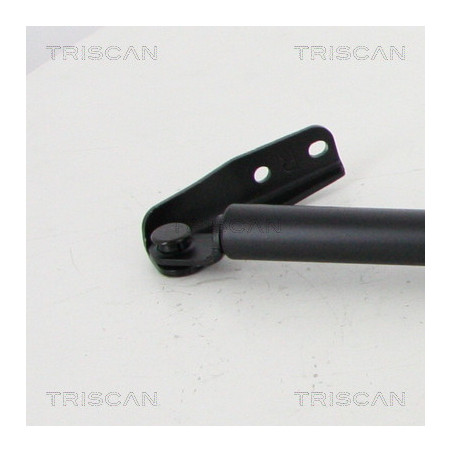 Vérin de coffre / hayon TRISCAN