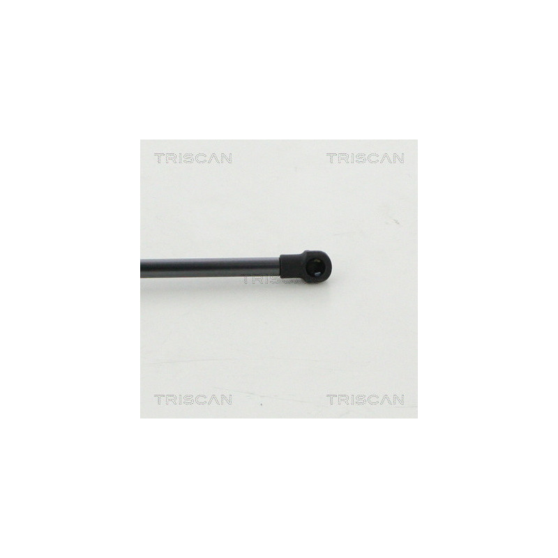 Vérin de coffre / hayon TRISCAN