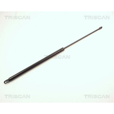 Vérin de coffre / hayon TRISCAN