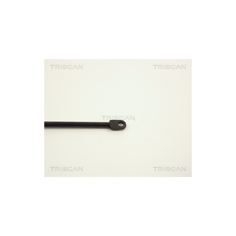 Vérin de coffre / hayon TRISCAN