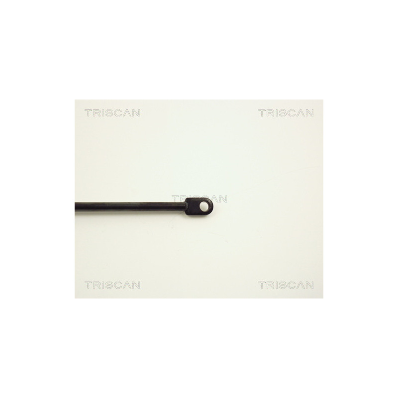 Vérin de coffre / hayon TRISCAN