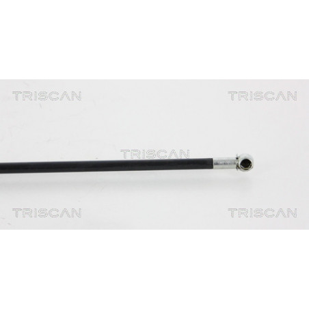 Vérin de capot TRISCAN