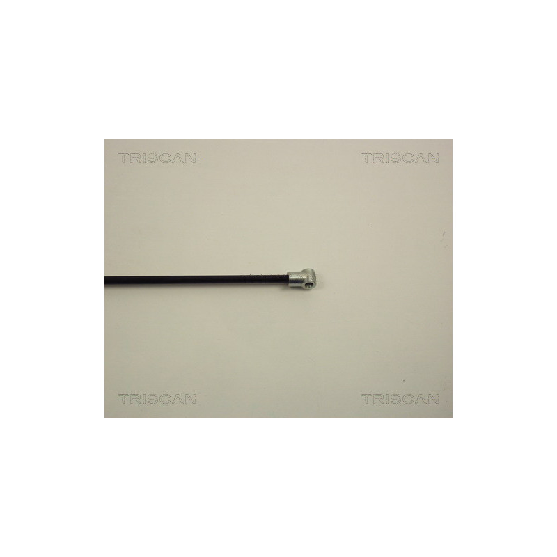 Vérin de coffre / hayon TRISCAN