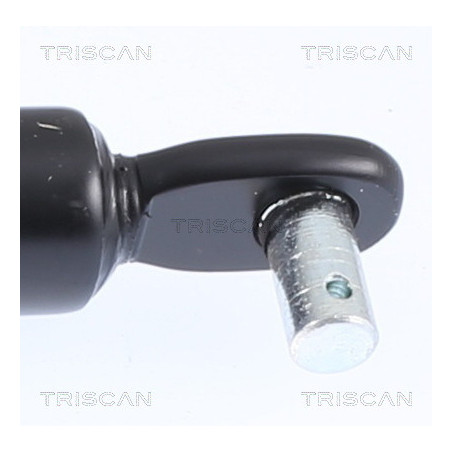 Vérin de coffre / hayon TRISCAN