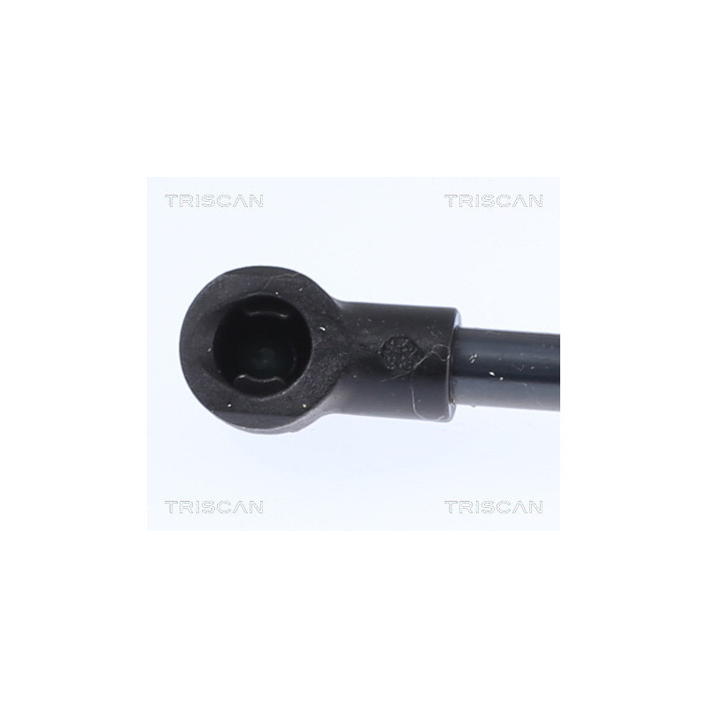 Vérin de coffre / hayon TRISCAN