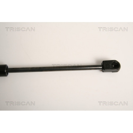 Vérin de vitre arrière TRISCAN