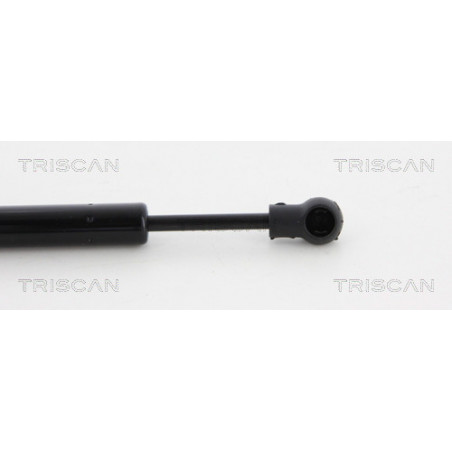 Vérin de coffre / hayon TRISCAN