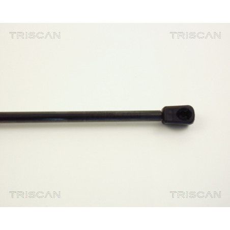 Vérin de coffre / hayon TRISCAN