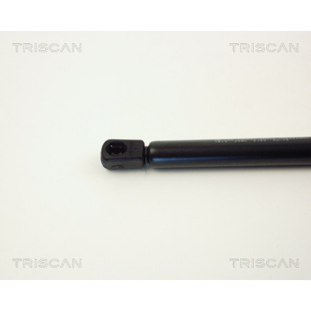 Vérin de coffre / hayon TRISCAN