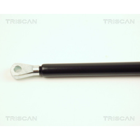 Vérin de capot TRISCAN