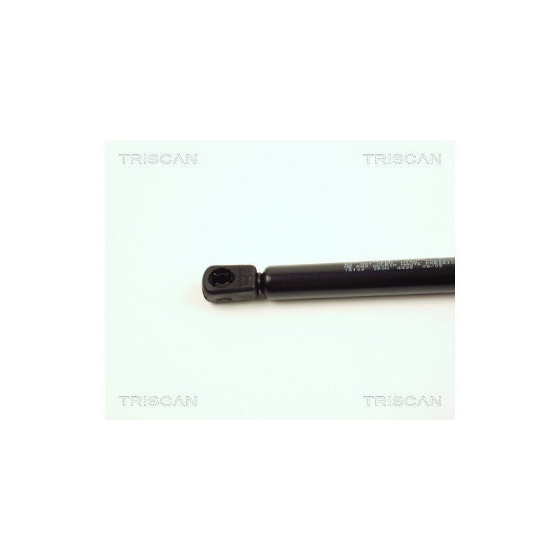 Vérin de capot TRISCAN