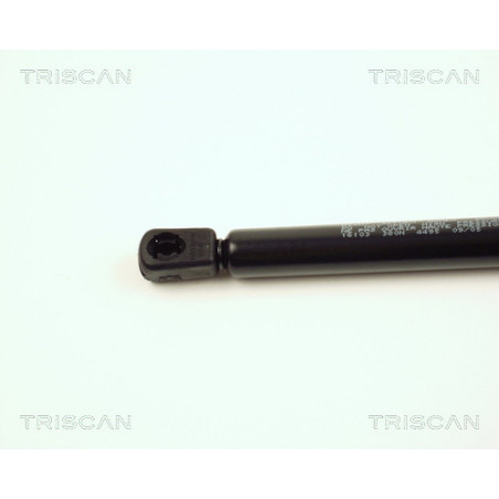 Vérin de capot TRISCAN