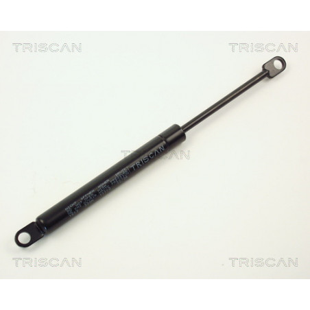 Vérin de coffre / hayon...