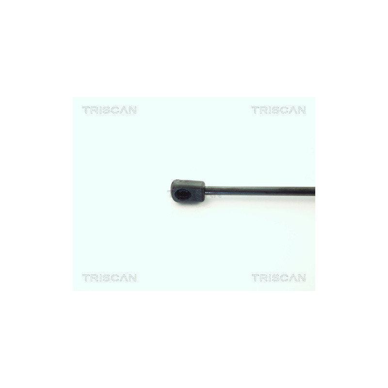 Vérin de coffre / hayon TRISCAN