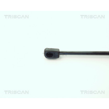 Vérin de coffre / hayon TRISCAN