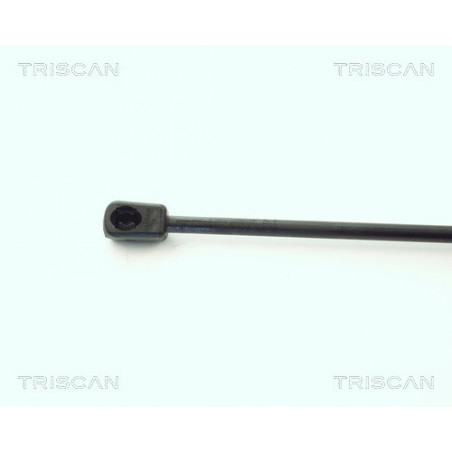 Vérin de coffre / hayon TRISCAN