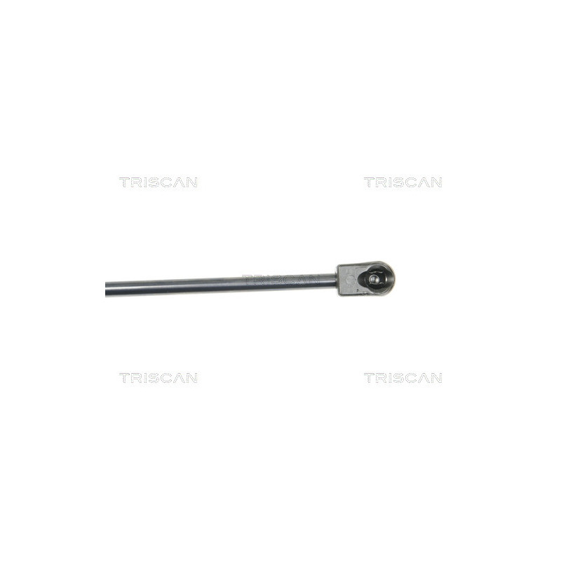 Vérin de vitre arrière TRISCAN