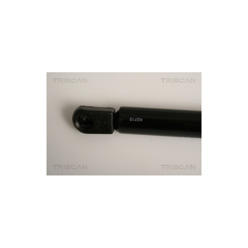 Vérin de coffre / hayon TRISCAN