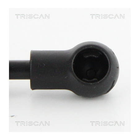 Vérin de coffre / hayon TRISCAN