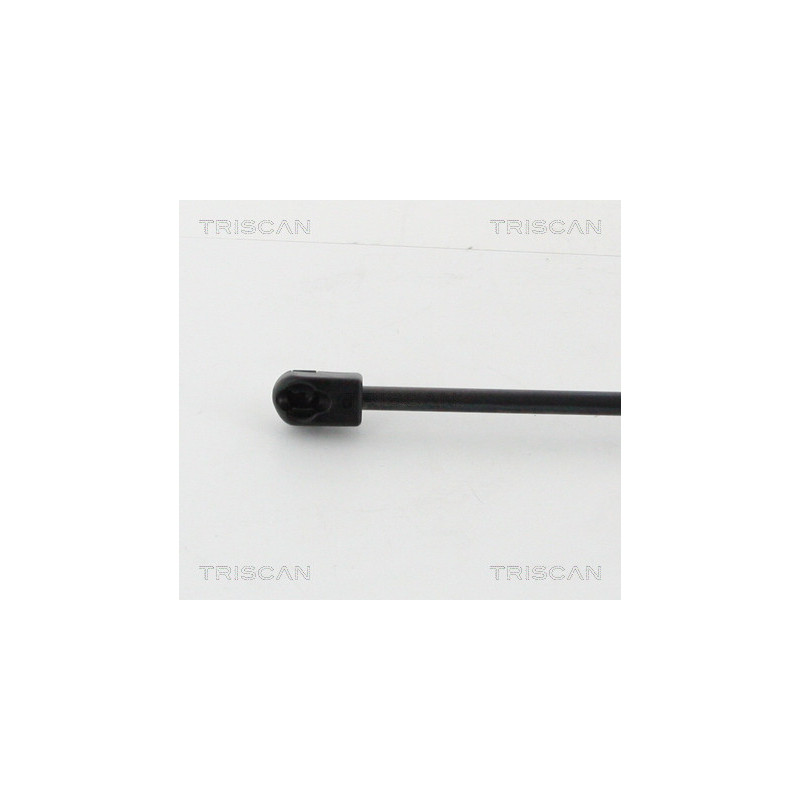 Vérin de coffre / hayon TRISCAN