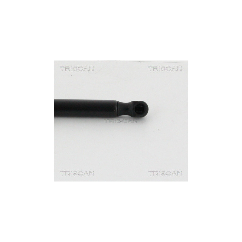 Vérin de coffre / hayon TRISCAN