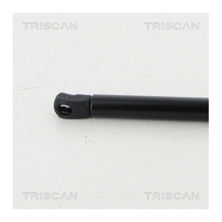 Vérin de coffre / hayon TRISCAN