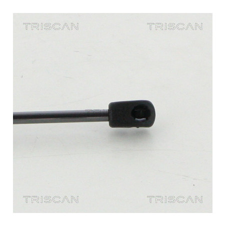 Vérin de coffre / hayon TRISCAN