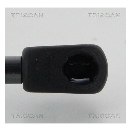 Vérin de coffre / hayon TRISCAN