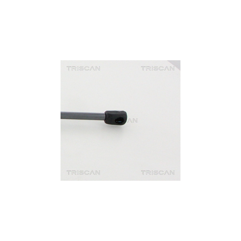 Vérin de coffre / hayon TRISCAN