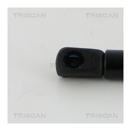 Vérin de capot TRISCAN