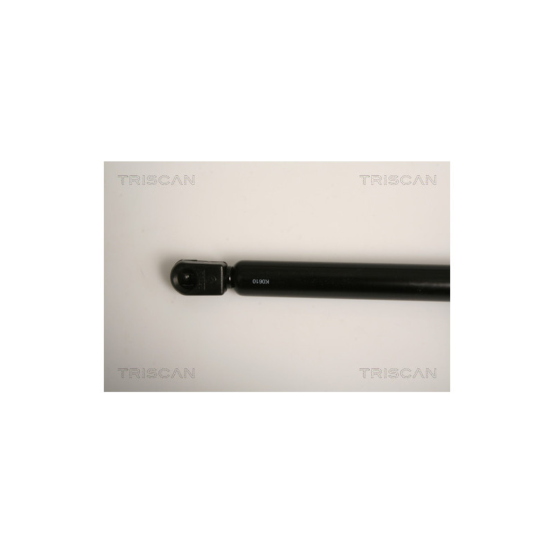 Vérin de coffre / hayon TRISCAN