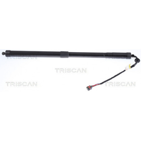 Vérin de coffre / hayon...