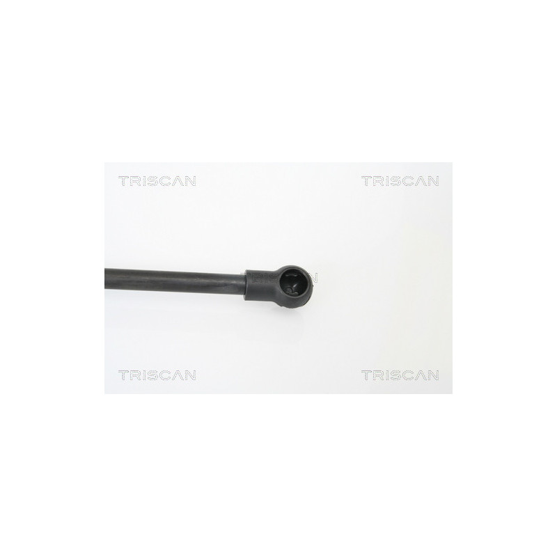 Vérin de capot TRISCAN