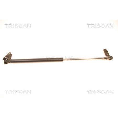 Vérin de coffre / hayon TRISCAN