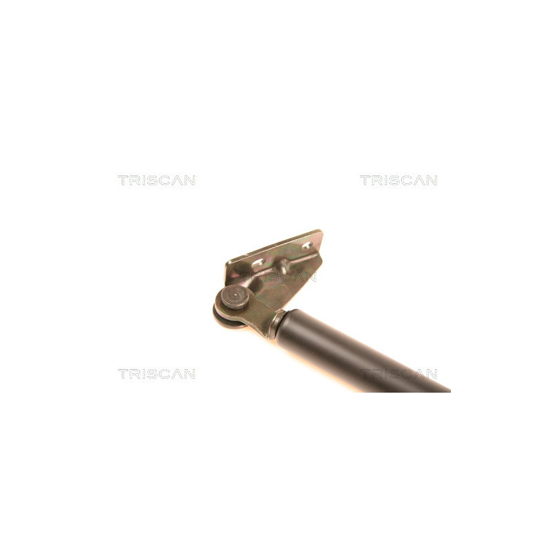 Vérin de coffre / hayon TRISCAN